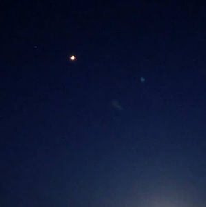 Meet your Posher, Kallie